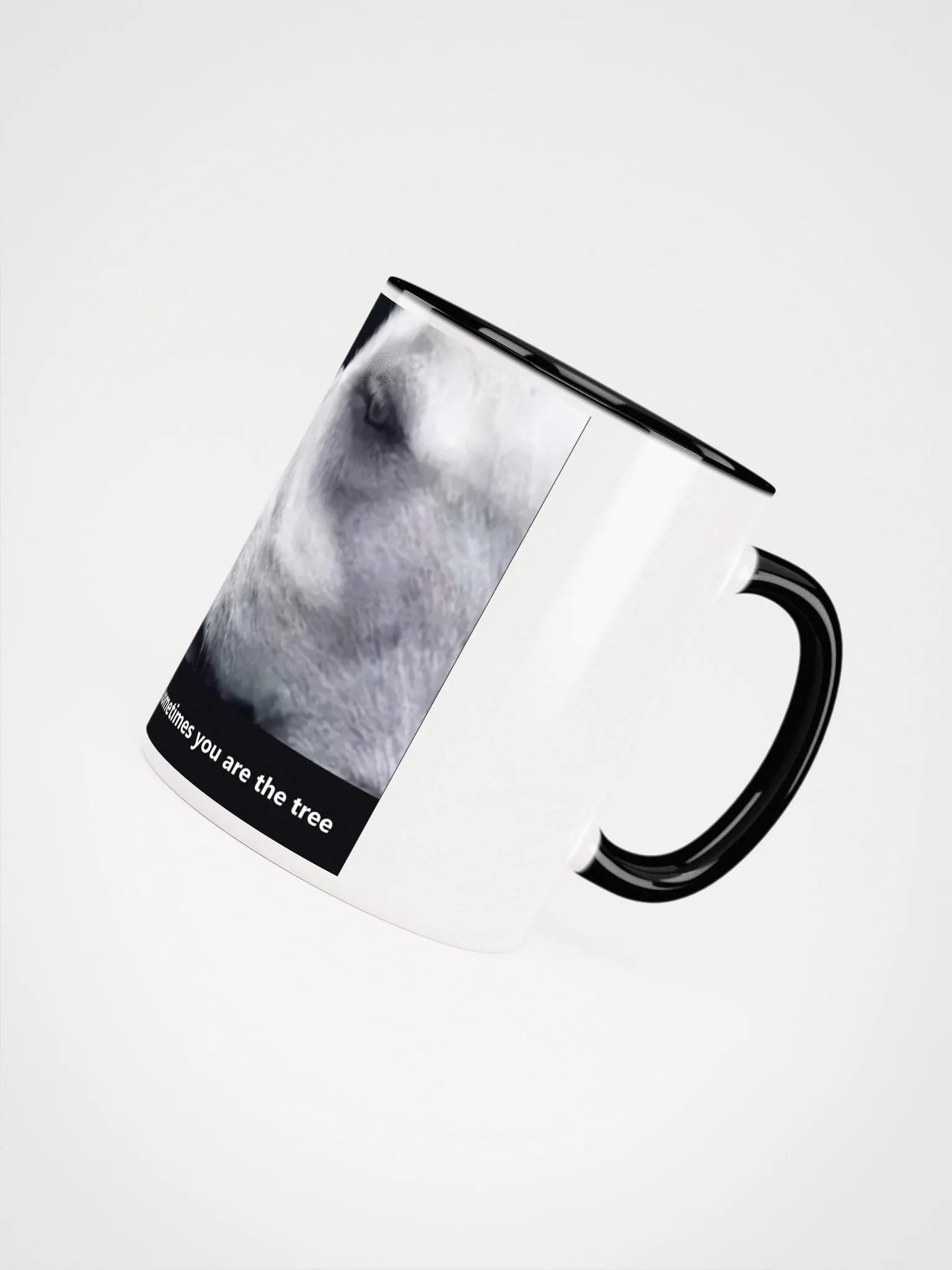 WISDOM CUP DELUXE EDITGION product image (8)