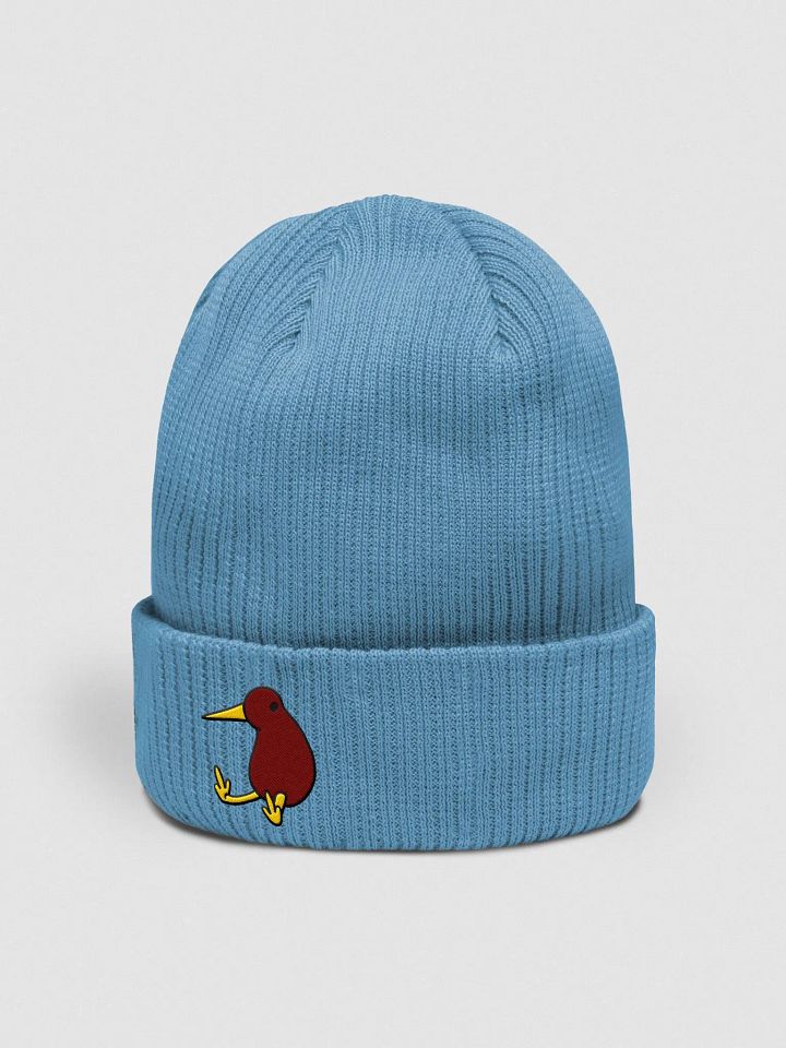 Jeremy Jr Beanie! (1) product image (29)