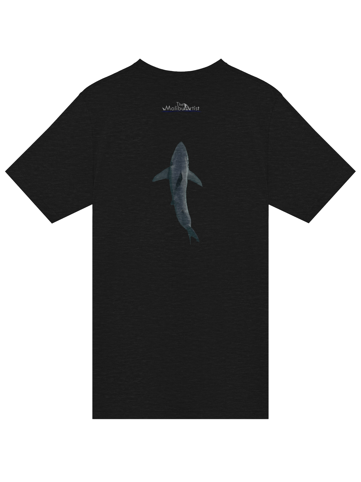 Carcharodon carcharias. product image (4)