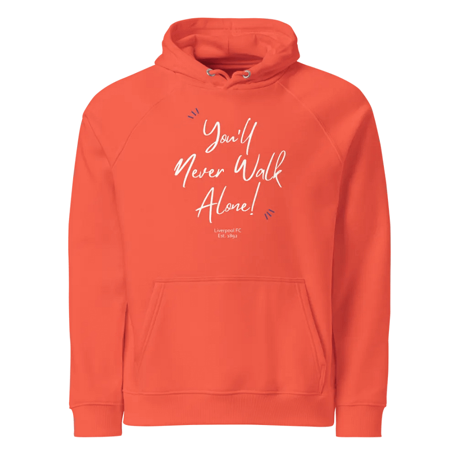 You Are Not Alone Eco Raglan Hoodie product image (1)