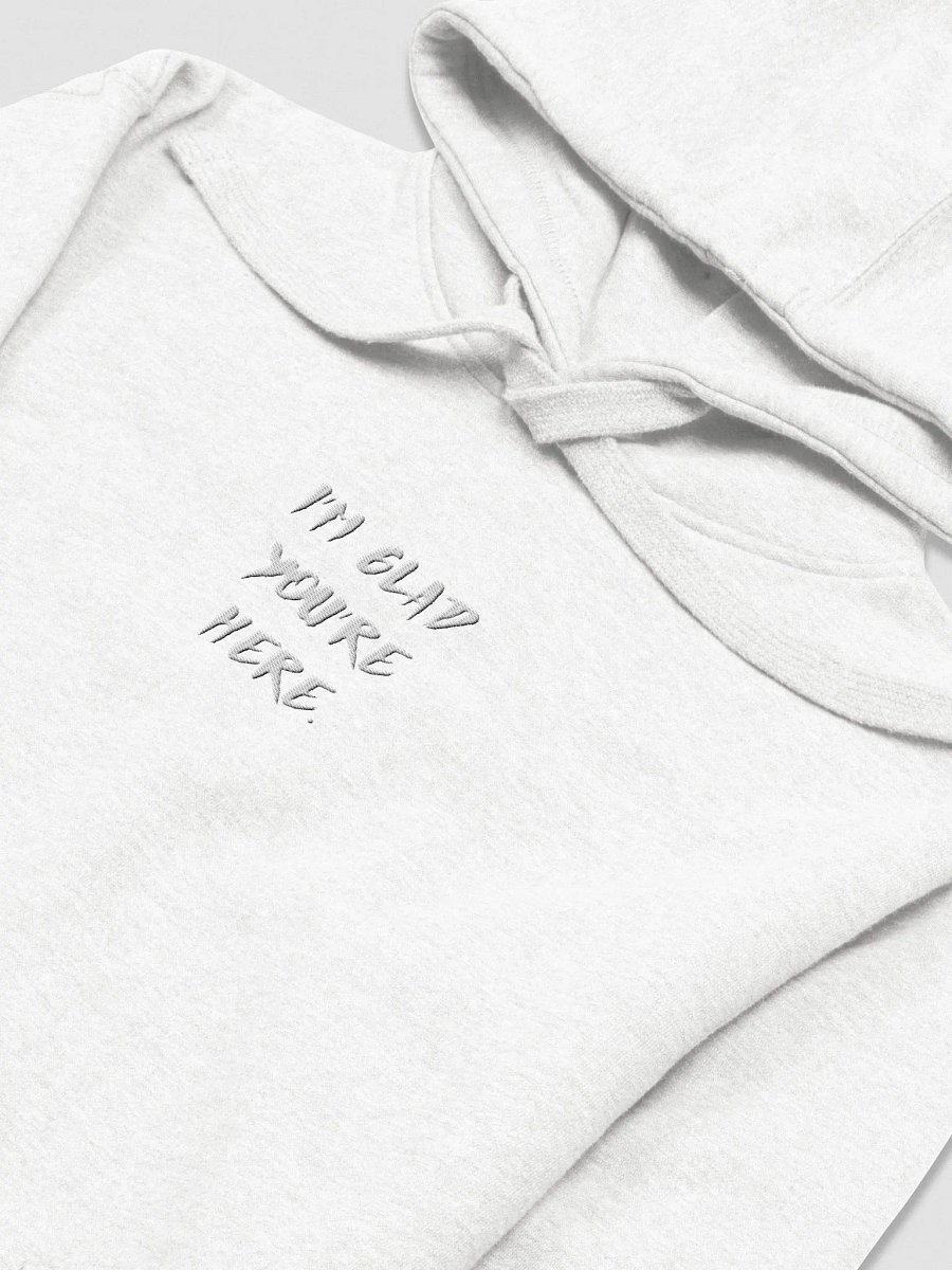 IGYH minimalist hoodie product image (3)