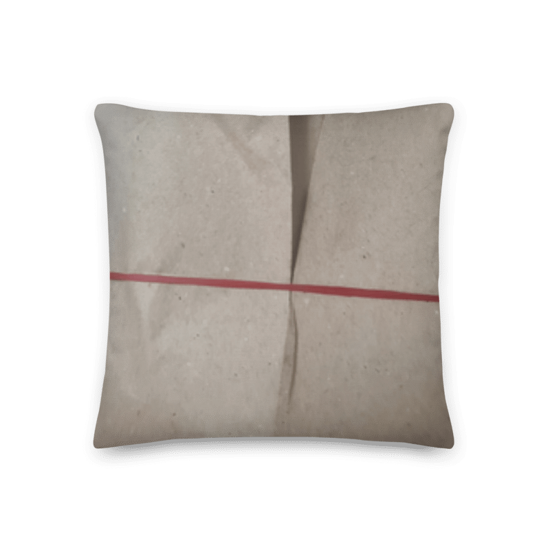Char Siew Rice Decorative Pillow product image (2)