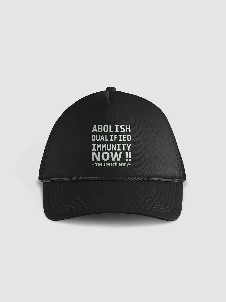 ABOLISH QUALIFIED IMMUNITY NOW product image (3)