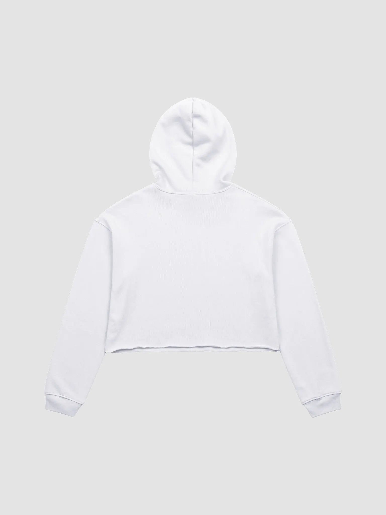 SICKSADWORLD V5 Crop Hoodie product image (13)