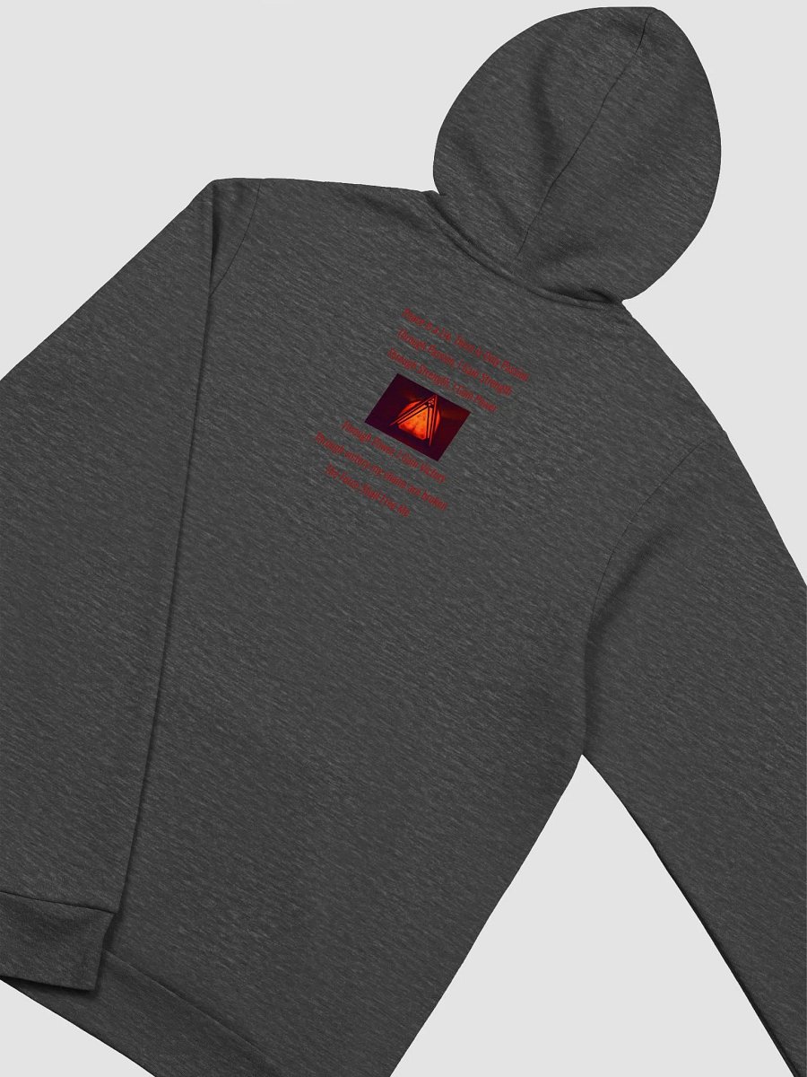 PURIST LOGO & DS Code Hoodie product image (4)