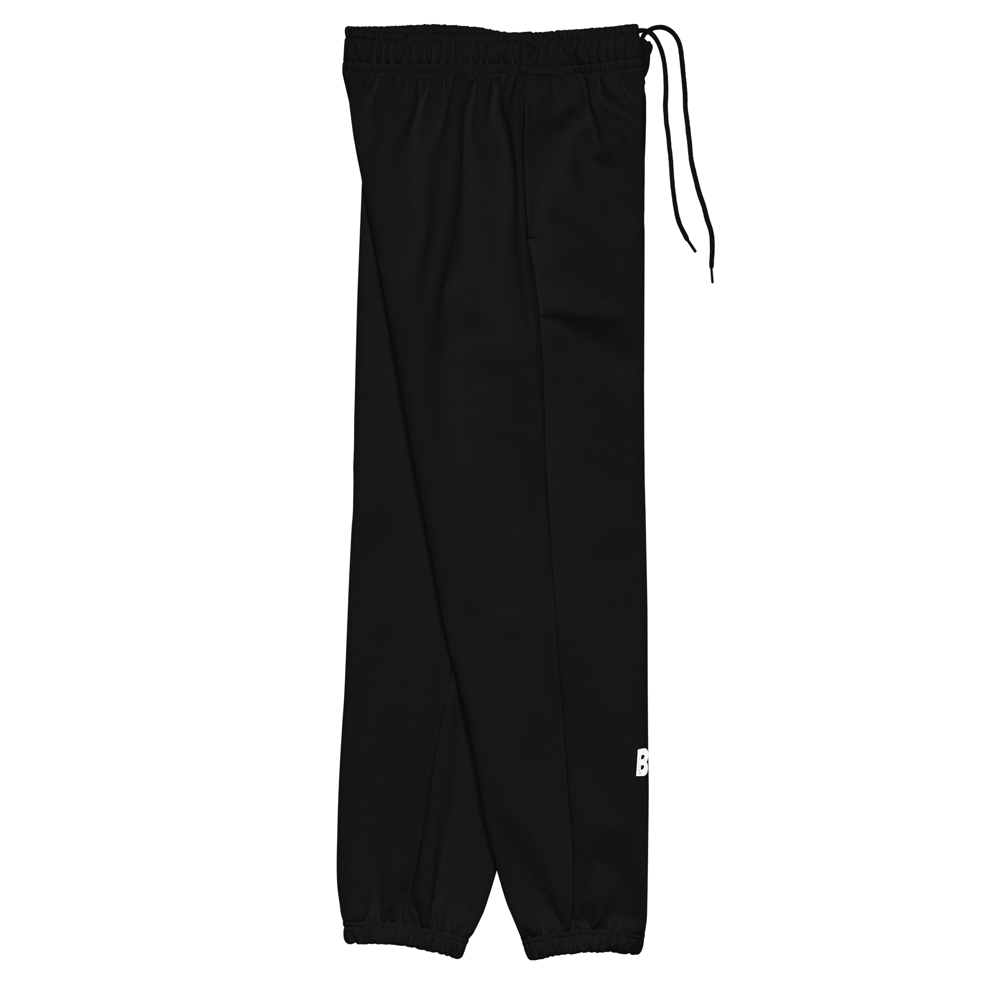BG Heavyweight Sweatpants product image (2)