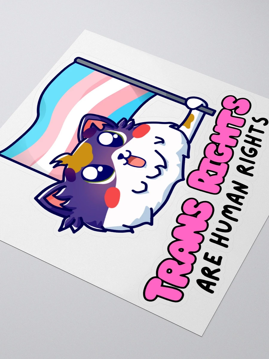 Trans Rights Sticker product image (5)