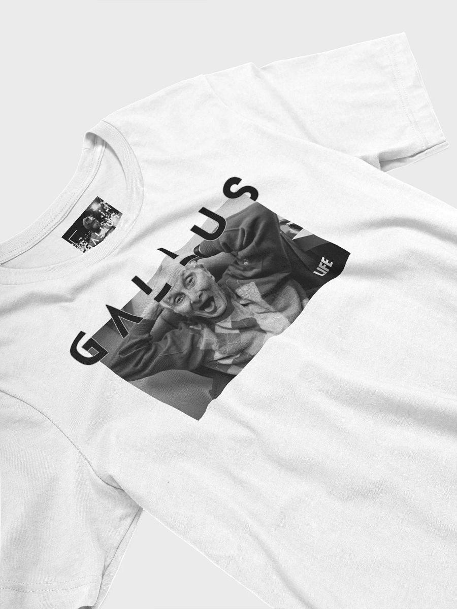 Gallus 2025 Life Collection - Ronnie Biggs product image (4)