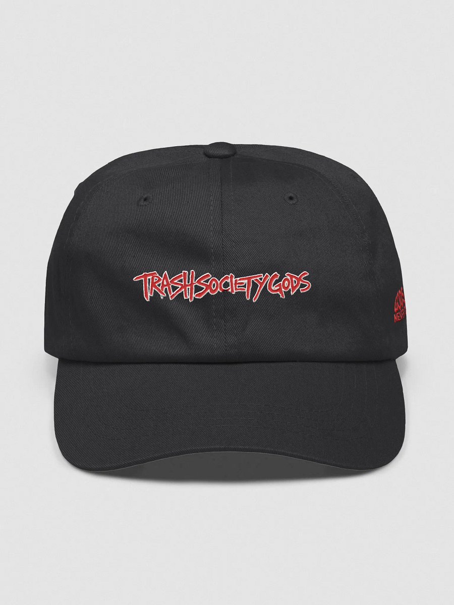 TRASH SOCIETY HAT product image (1)
