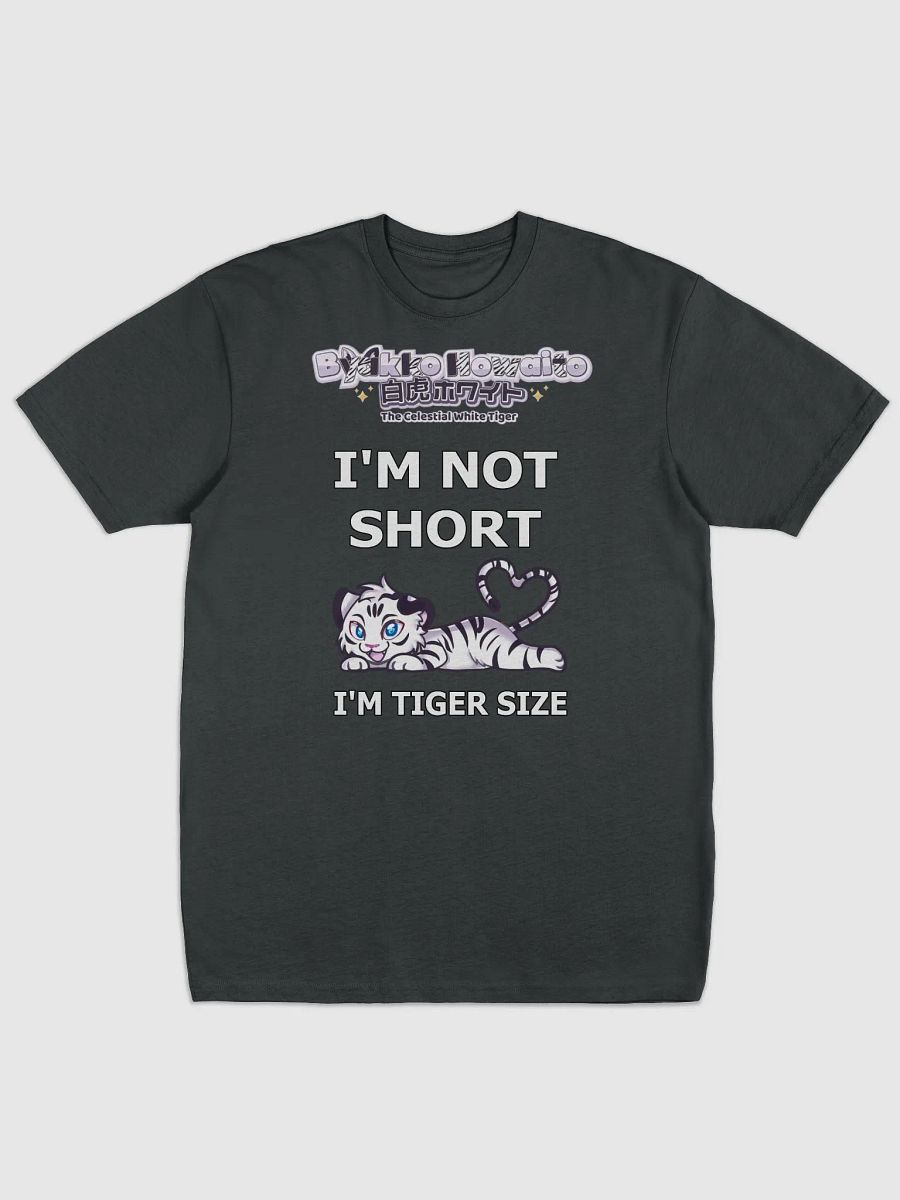 Premium Heavyweight Tee - Byakko Not Short Edition product image (6)