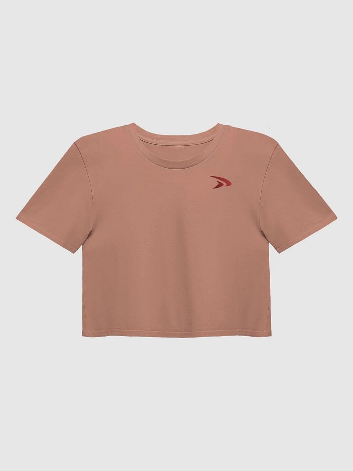 Control What You Can Control Crop Top T-Shirt - #BeFAST product image (1)