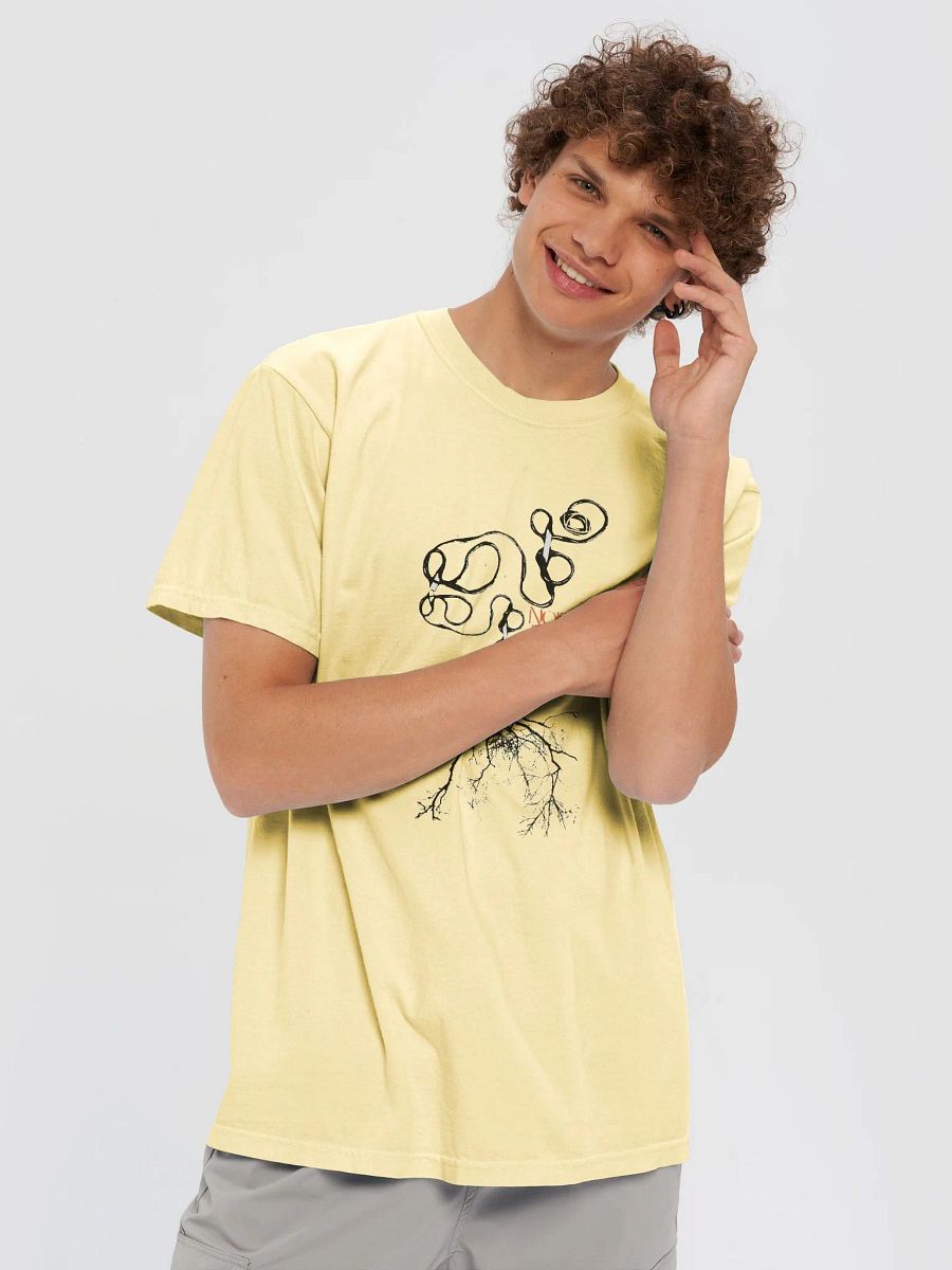 Desire Comfort Colors Tee product image (14)