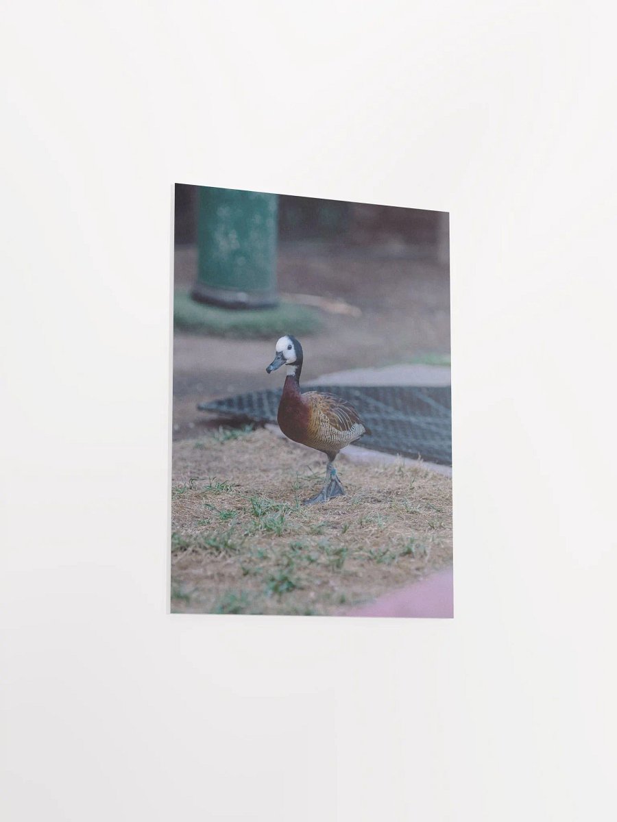 Bird #2 product image (8)