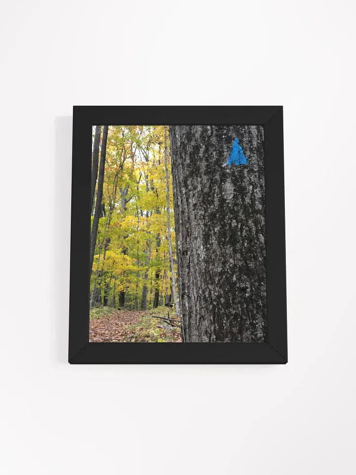 Up Ahead Fall Forest High Quality Matte Poster product image (1)
