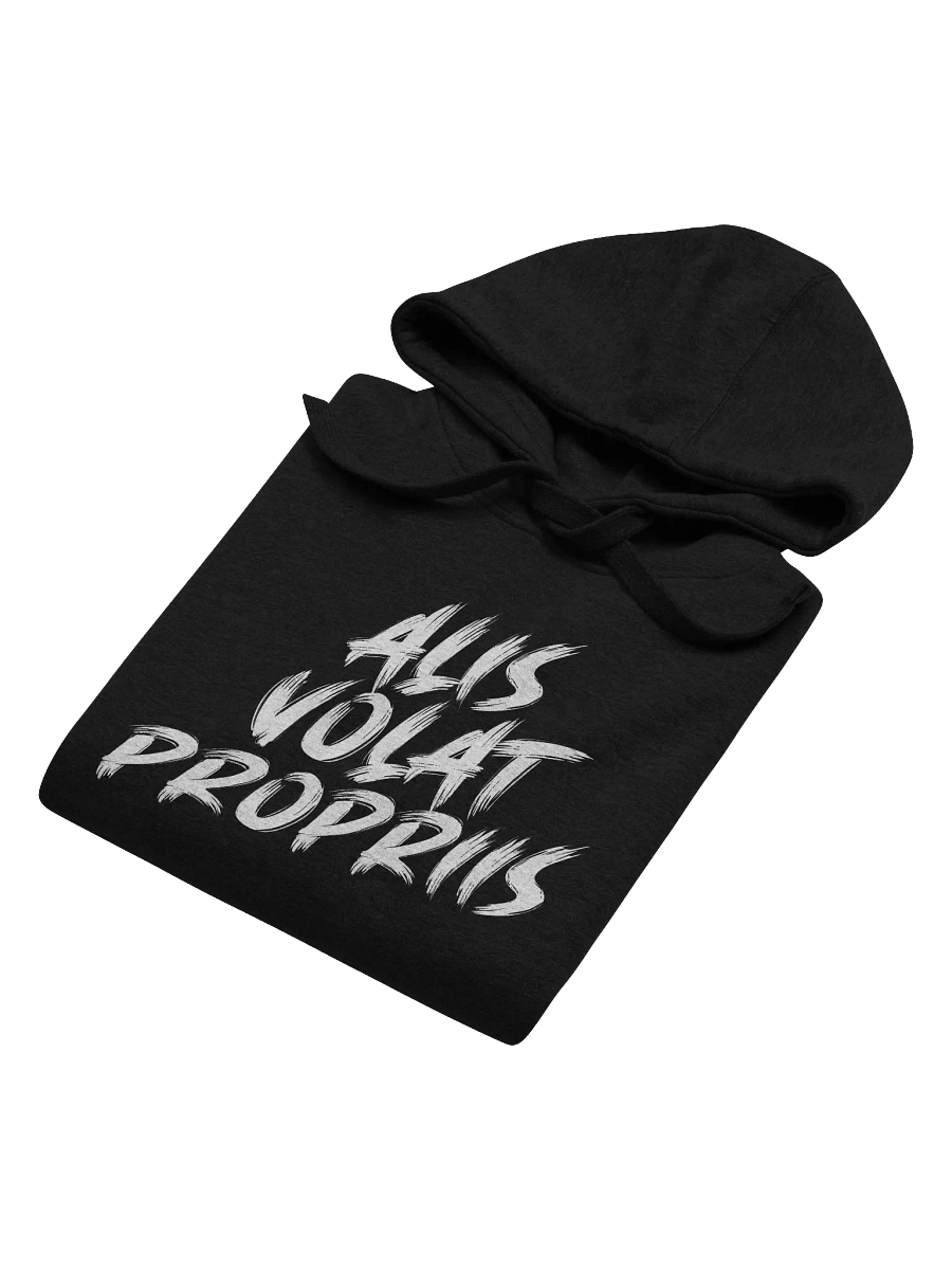 Alis Volat Propriis Bold Brush Hoodie product image (6)