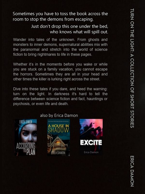 Turn on the Light (ebook) product image (3)