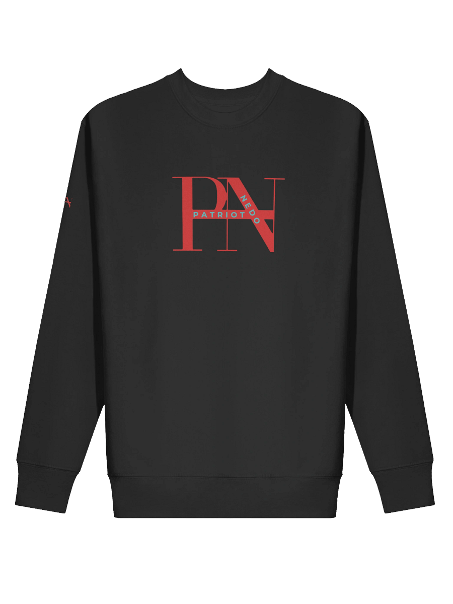 PN Patriotic Stylized Sweatshirt product image (4)