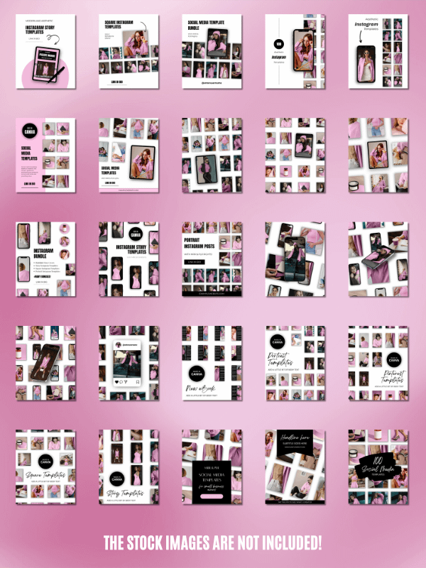 MRR/PLR Instagram Templates for Digitals product image (2)