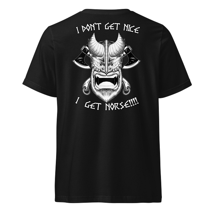 I don't get nice, I get Norse!!! (V neck Back) product image (1)