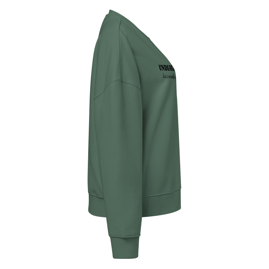 Undiagnosed Organic Sweatshirt product image (5)