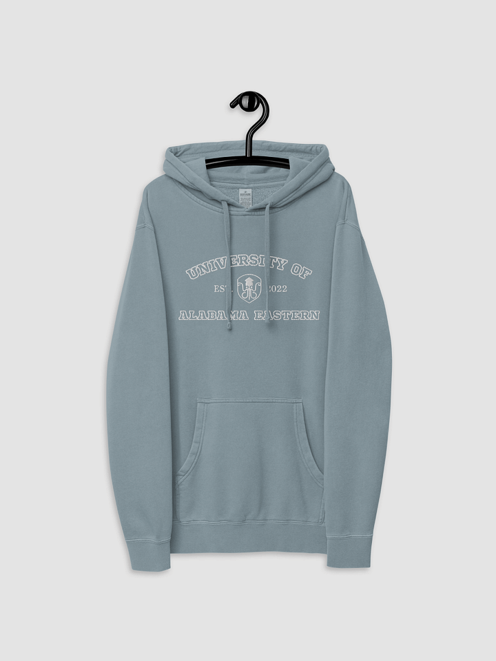 University Hoodie product image (2)
