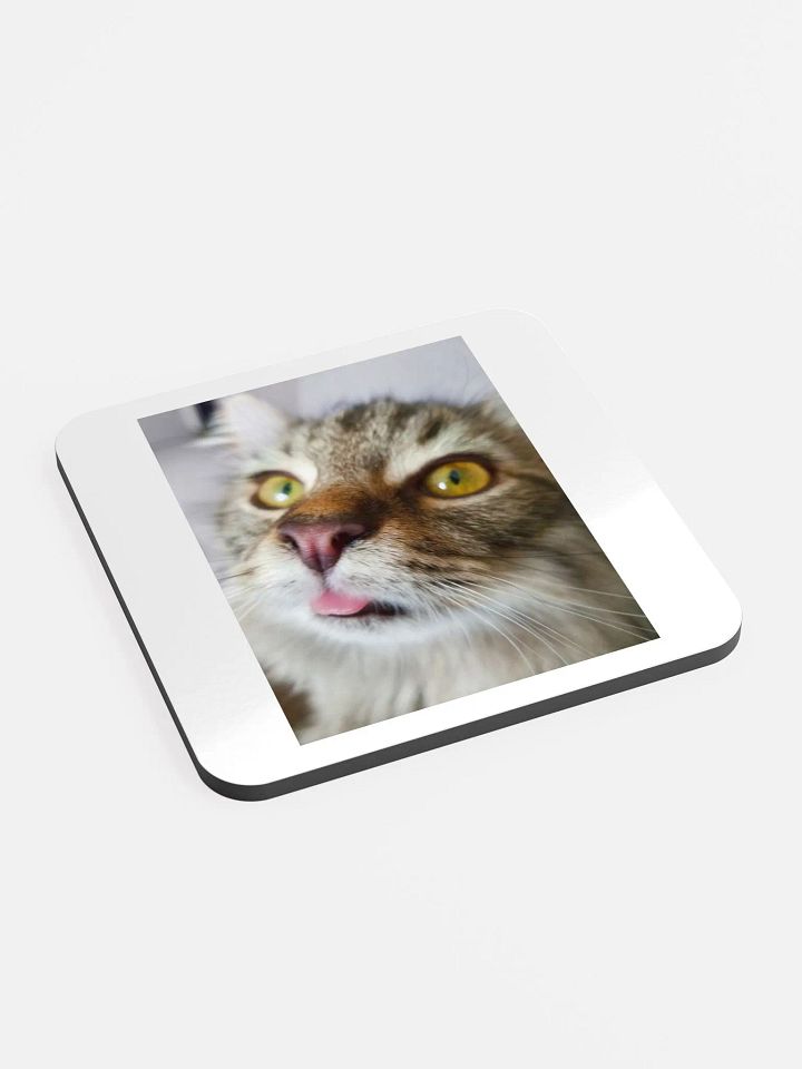 FidgGOON Coaster product image (2)