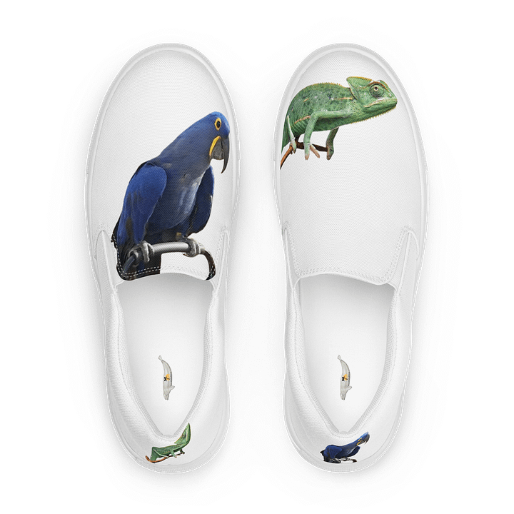 chameleon and makaw shoes product image (1)