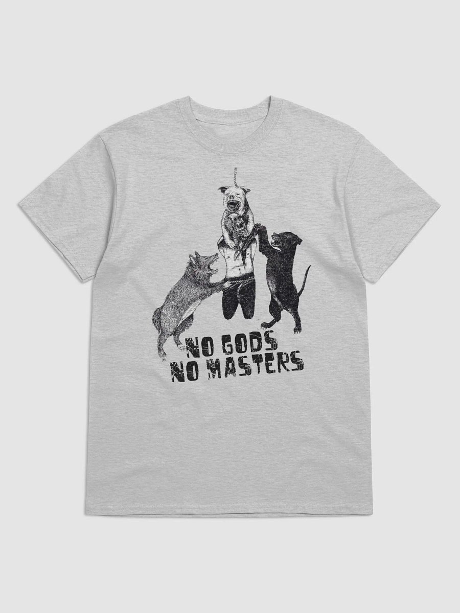 NO GODS NO MASTERS product image (1)