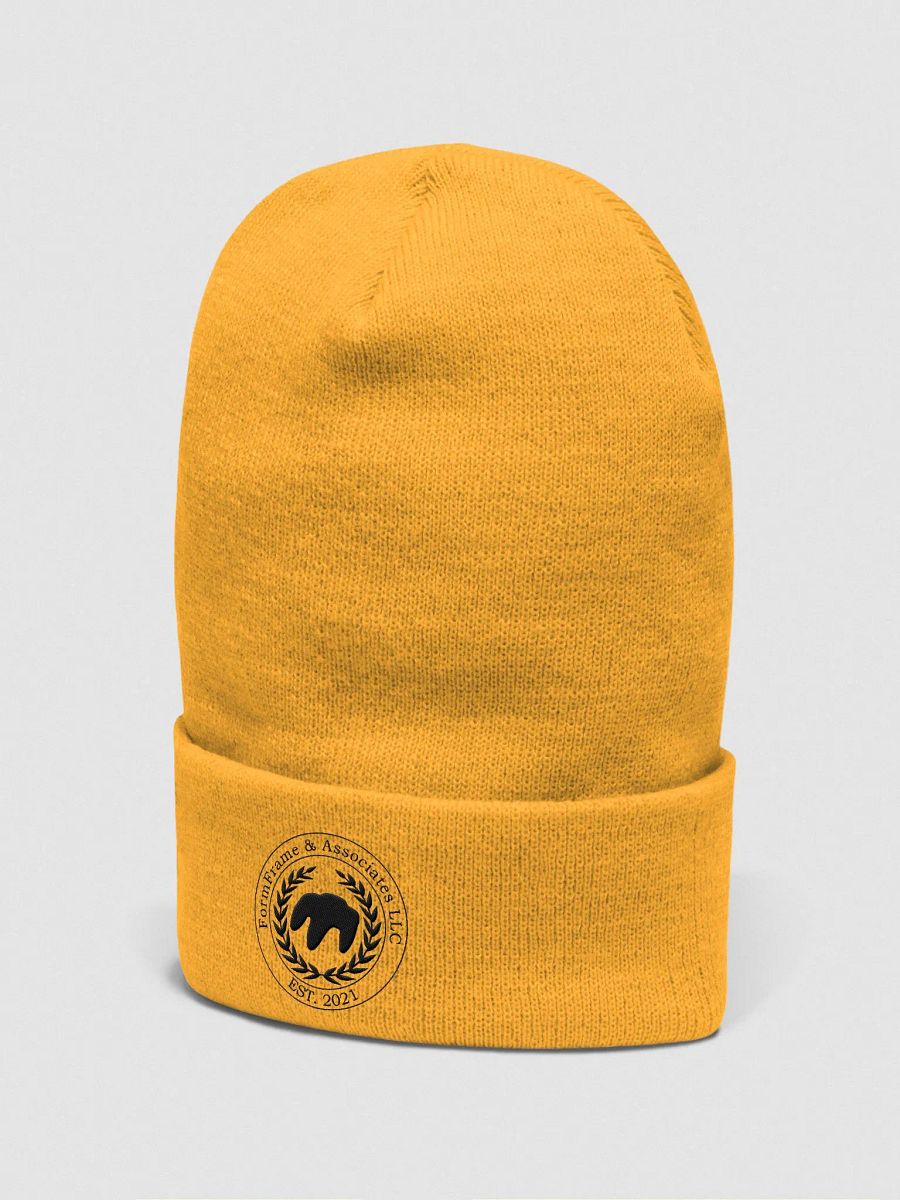 Black OEM FormFrame and Associates LLC Beanie product image (2)