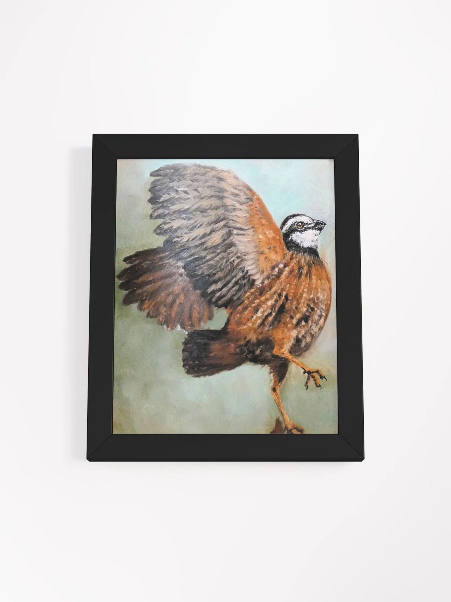 Bobwhite Quail product image (2)