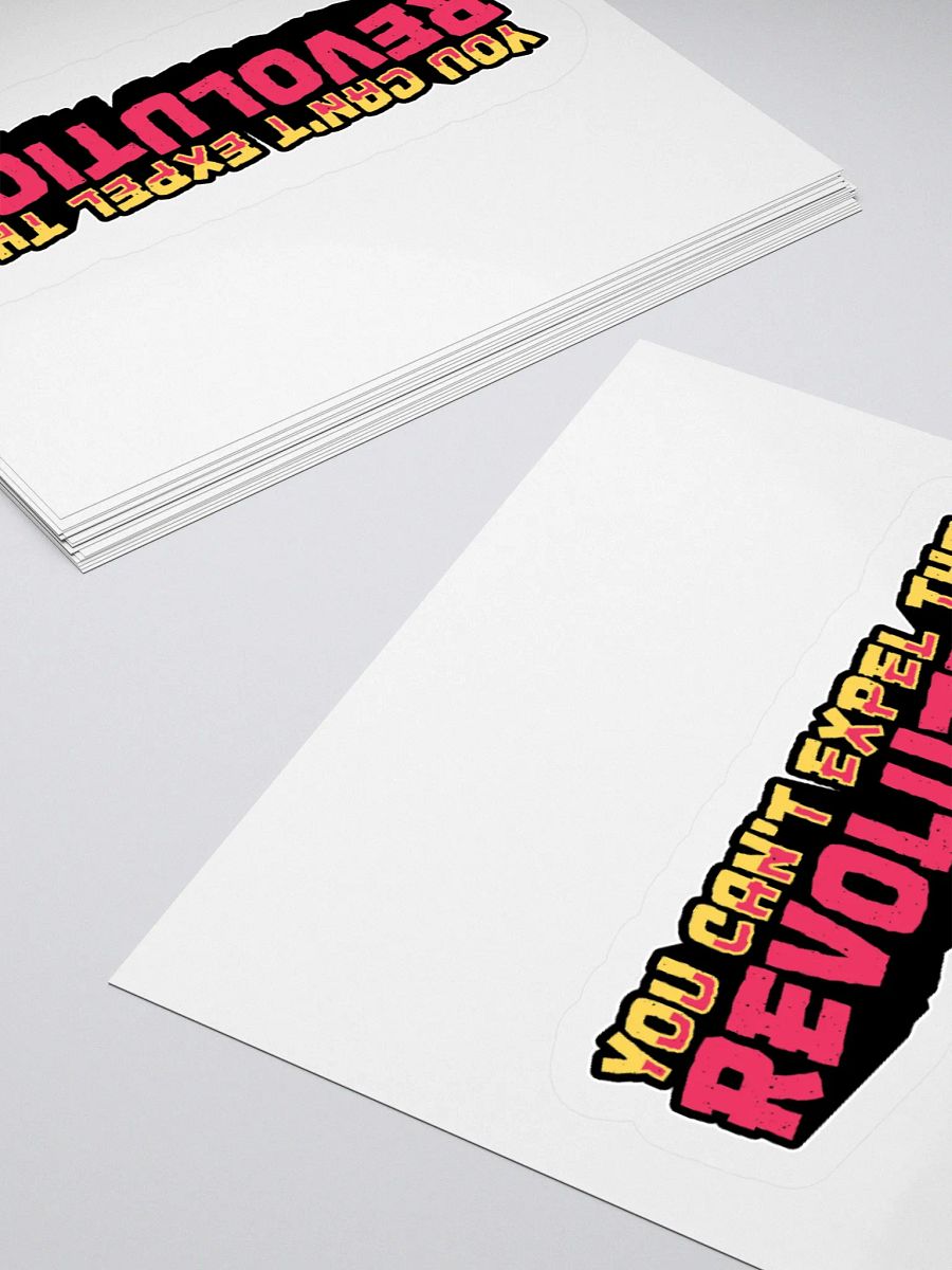 You Can't Expel The Revolution Sticker product image (10)