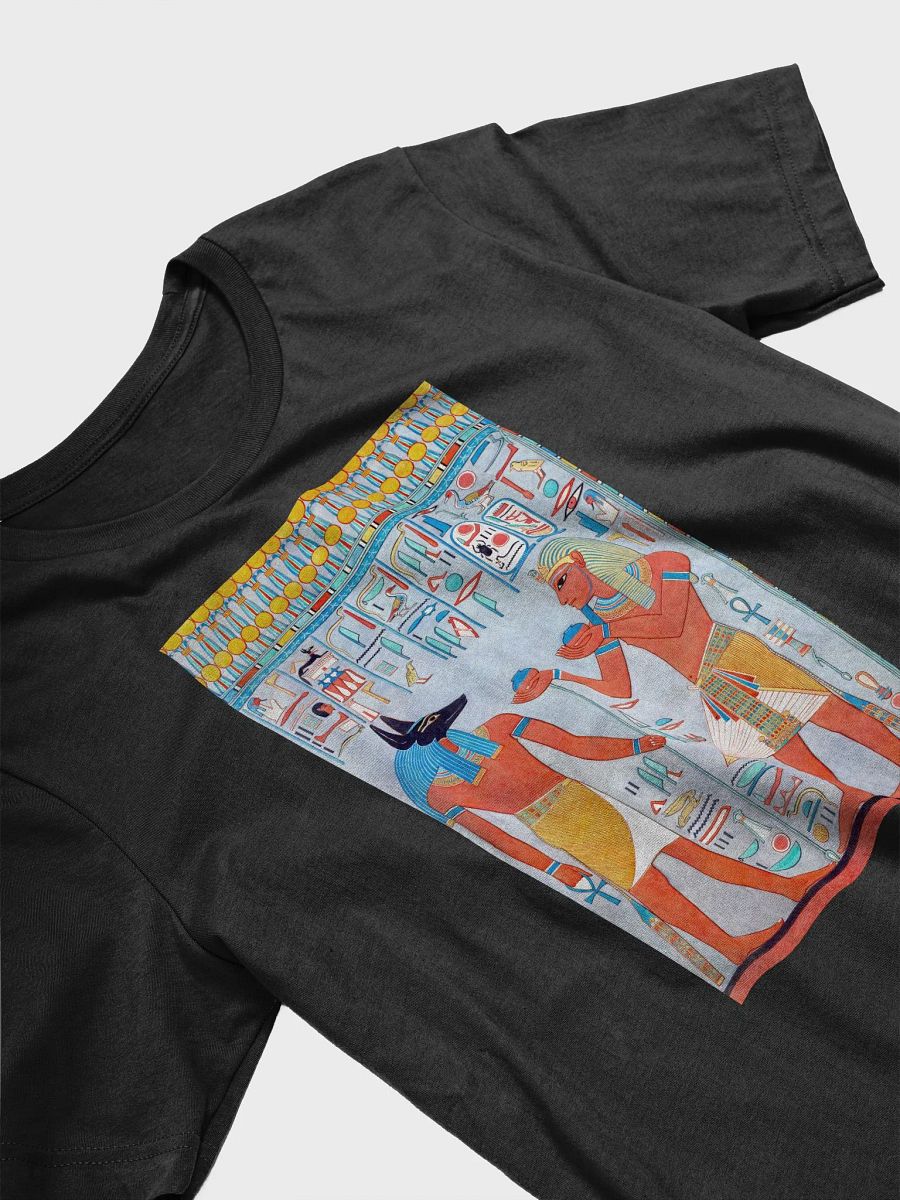 Anubis and the Pharaoh Ancient Egypt Art Unisex T-Shirt product image (3)