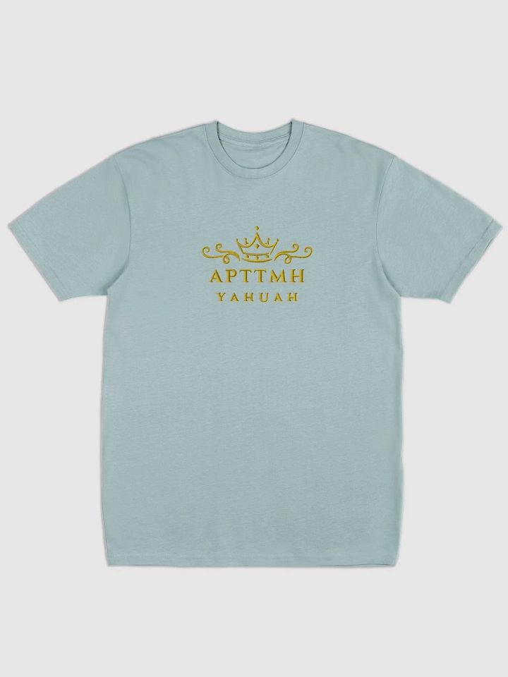 APTTMH Men's Tee product image (3)
