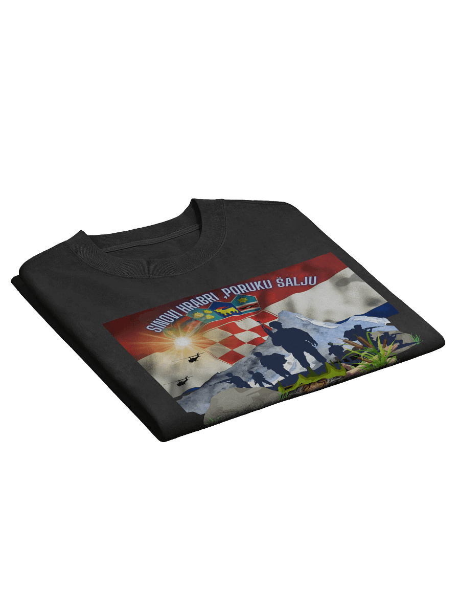 Crowned PNB Oversized Faded T-Shirt Tigrovi Oluja95 product image (3)