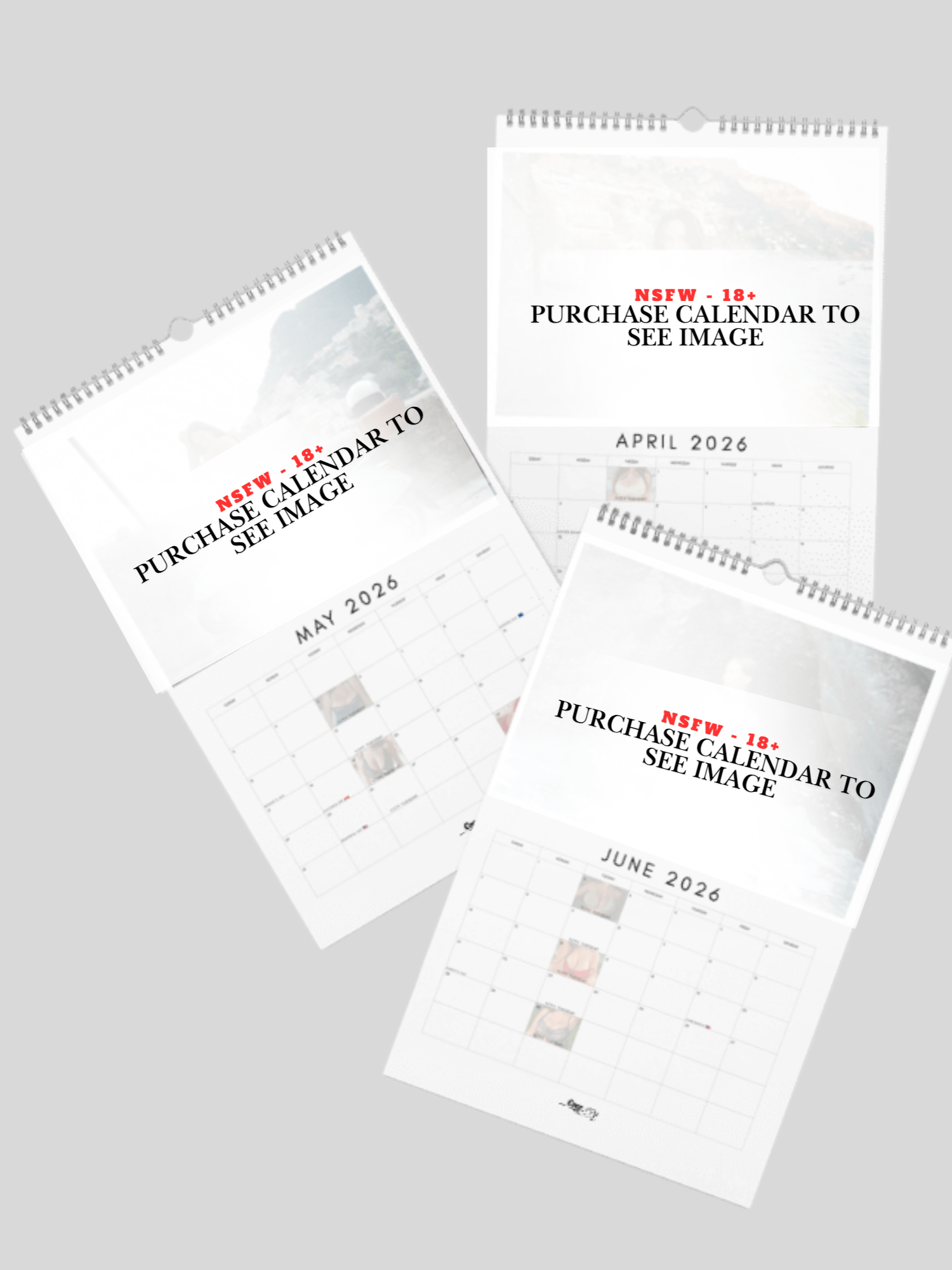 2026 Calendar product image (3)