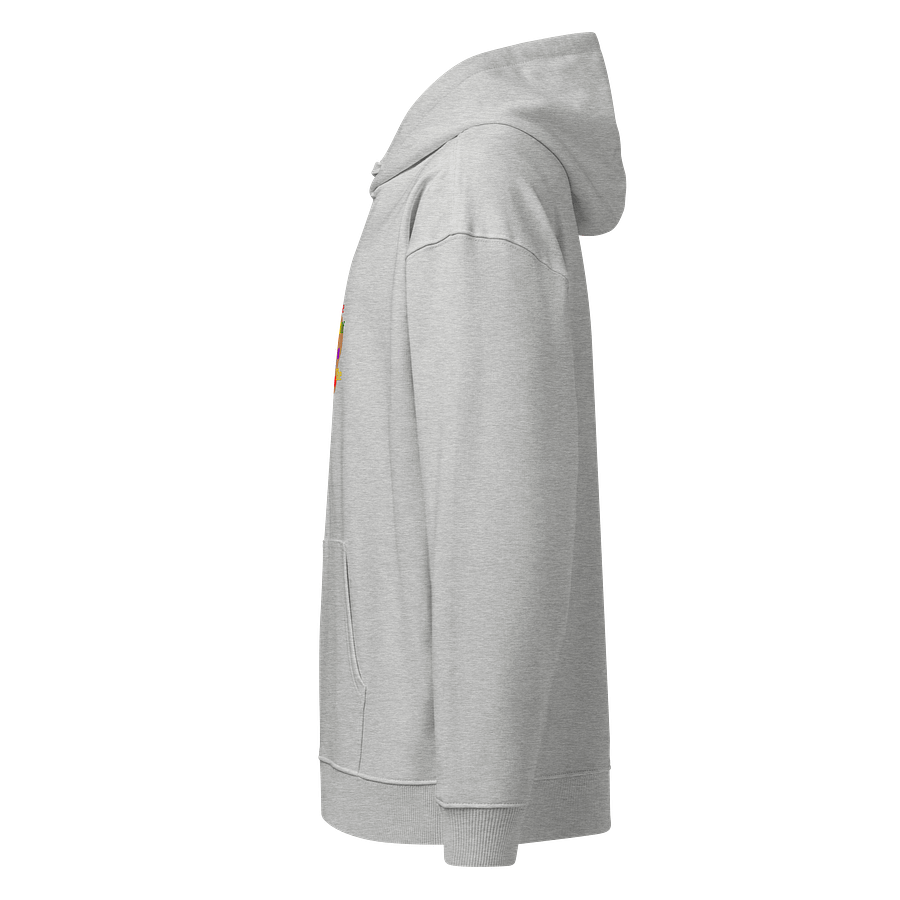 Soulful Palette Organic Hoodie product image (6)