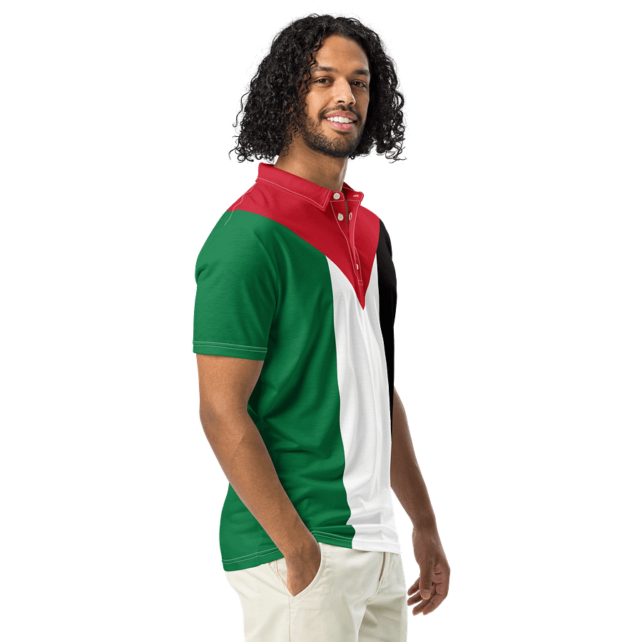 Palestine Flag Men's Polo product image (3)