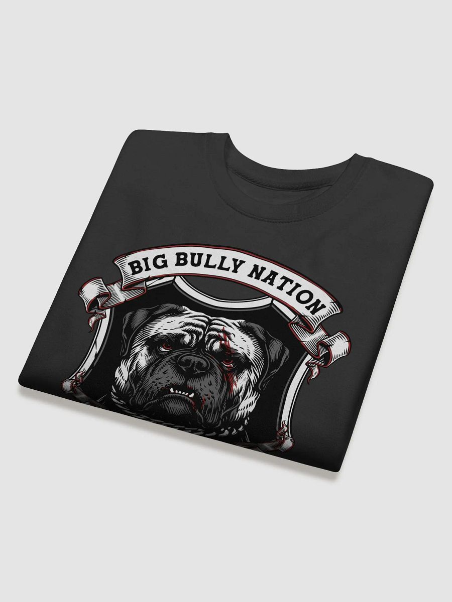 BBN Alter Ego Premium Sweatshirt product image (34)