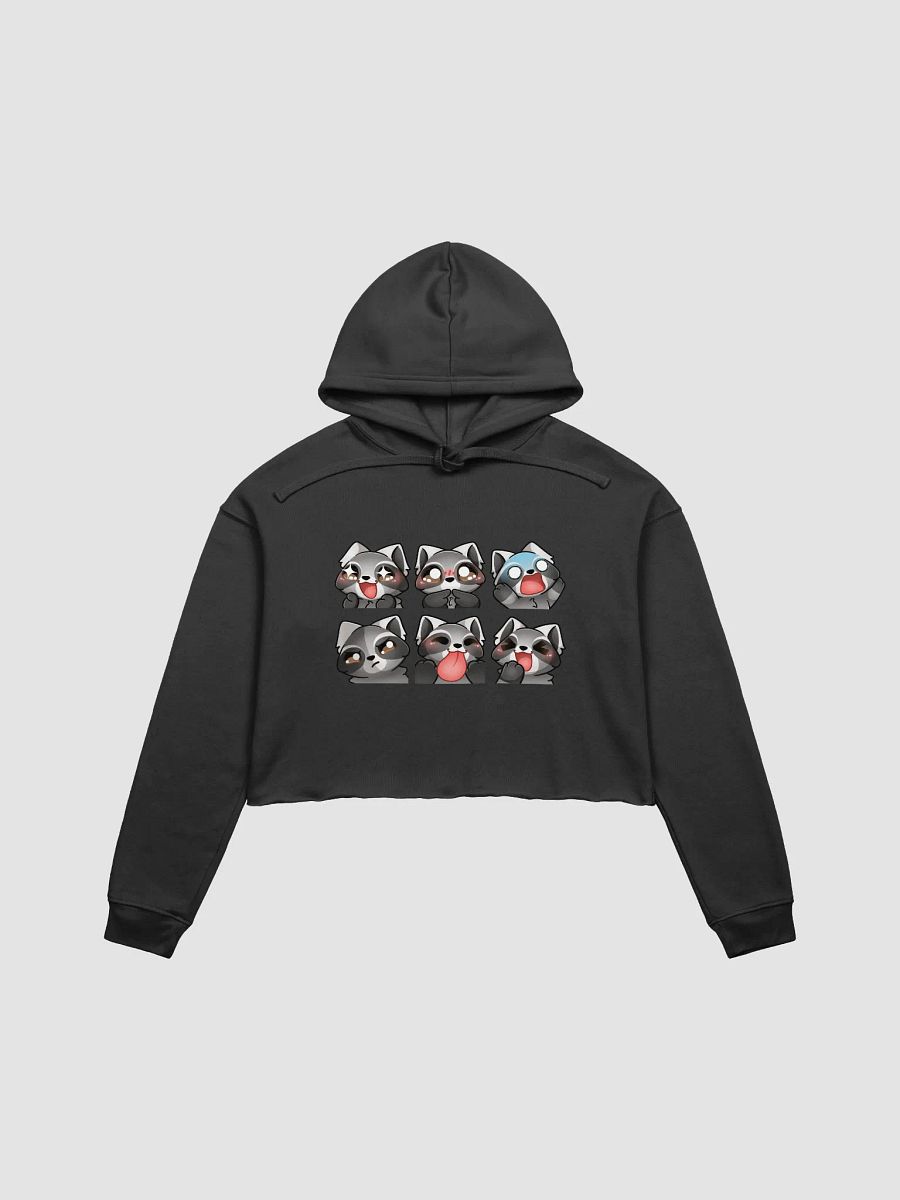 Raccoon emote cropped fleece hoodie product image (1)
