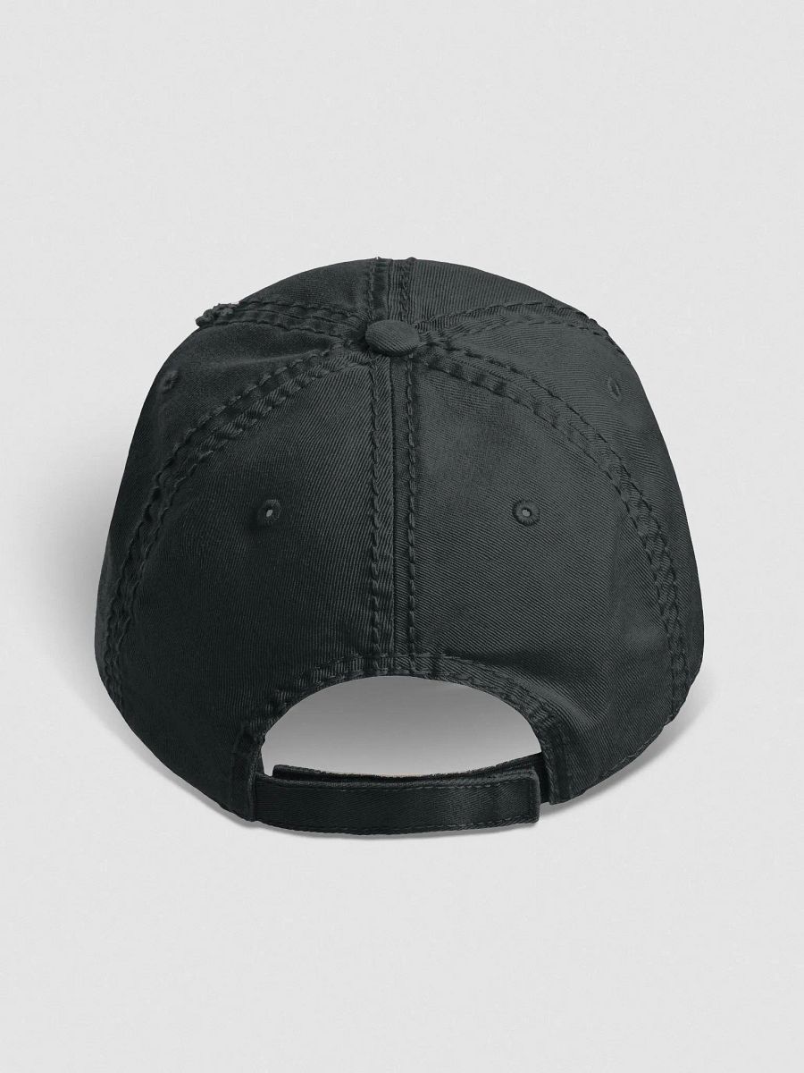 DJT Distressed Dad Hat product image (6)
