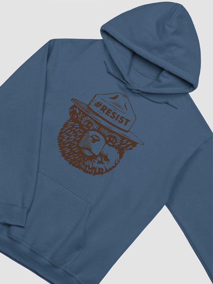 Smokey RESIST BEAR Classic Pullover Hoodie Alt National Parks Wear Resistance Rangers product image (2)