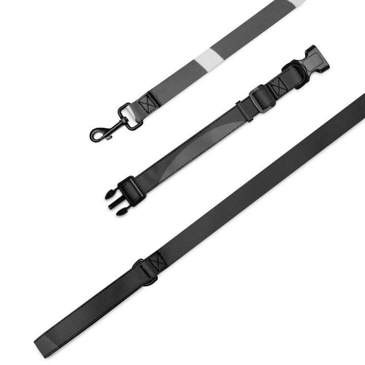 Grey Mystic Collar & Leash Set product image (1)