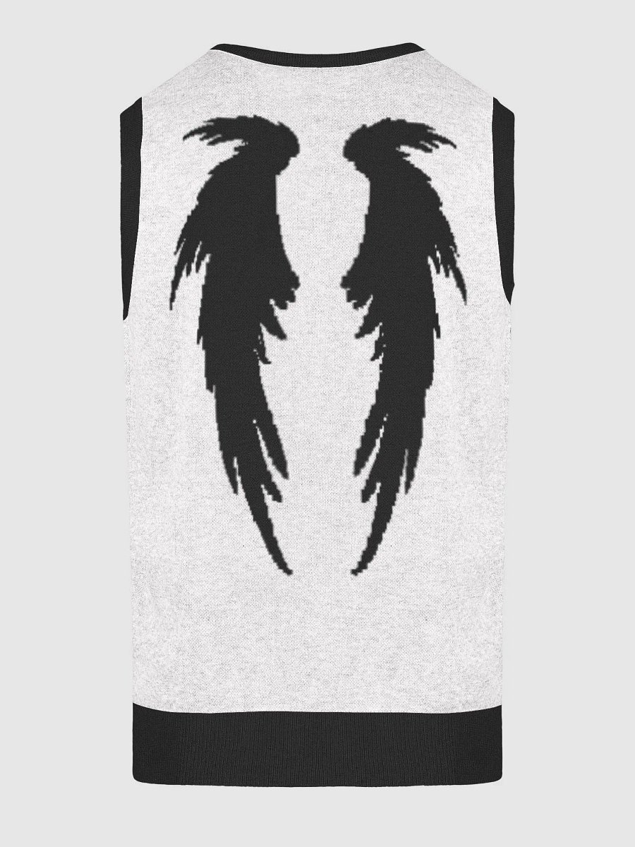 Divine Revelation V-Neck Vest - God's Favorite product image (4)