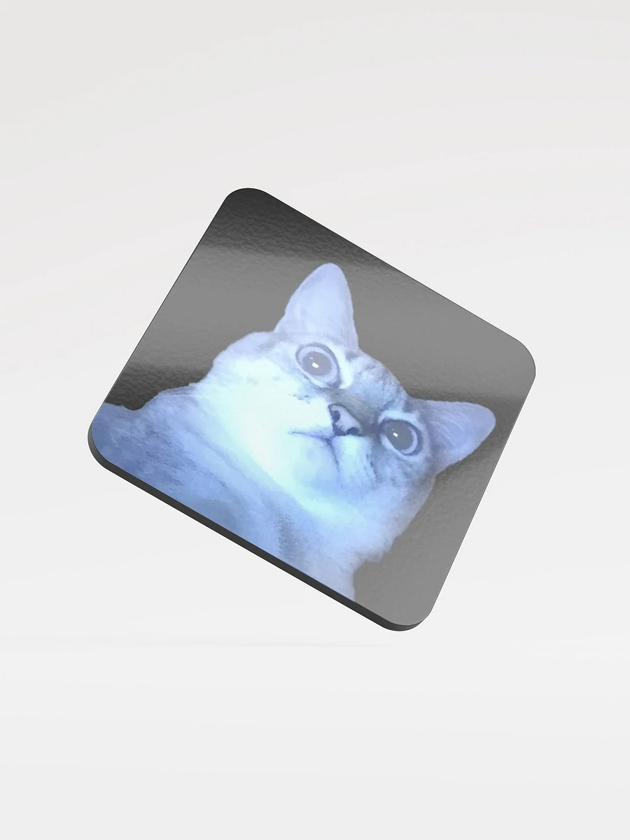 Glossed Cork Coaster: Meme Cats product image (1)