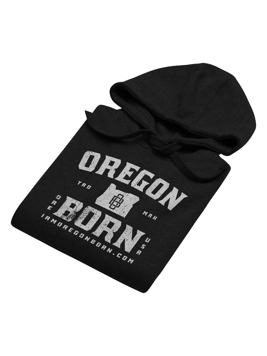 Oregon Born Vintage Collegiate - Hoodie product image (6)
