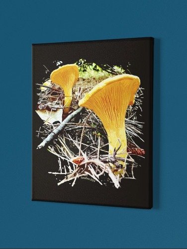 Chanterelles 16x20 inch Canvas Print product image (1)