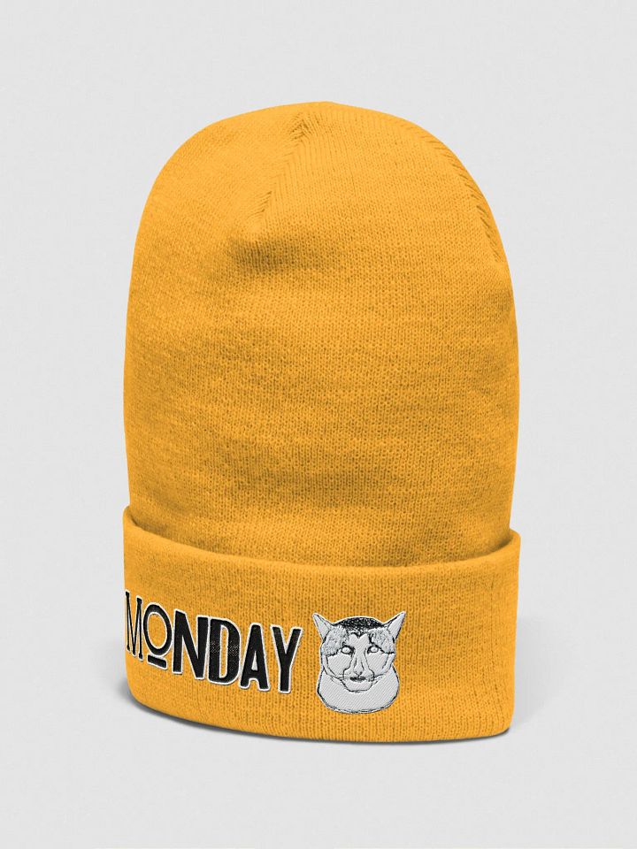Monday Cat Cuffed Beanie product image (2)