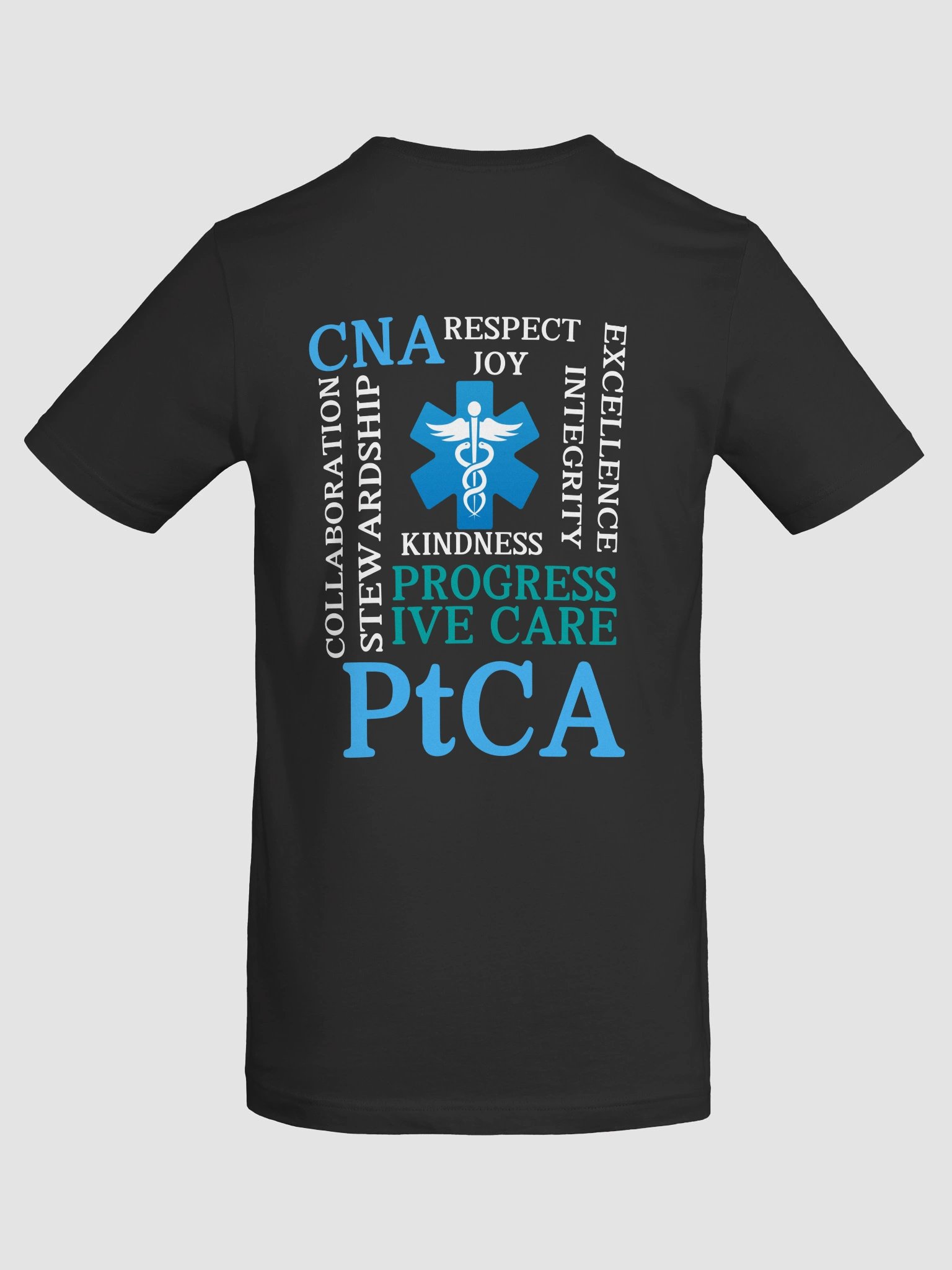 PtCA Values product image (83)