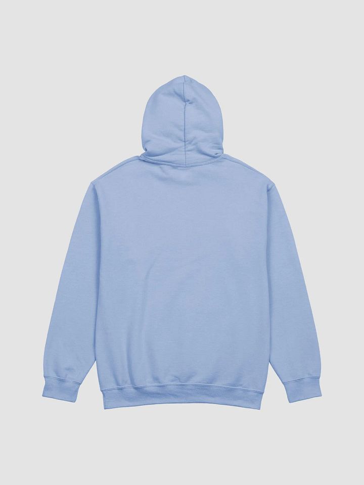Got Truth Hoodie (Multiple Colors) product image (6)