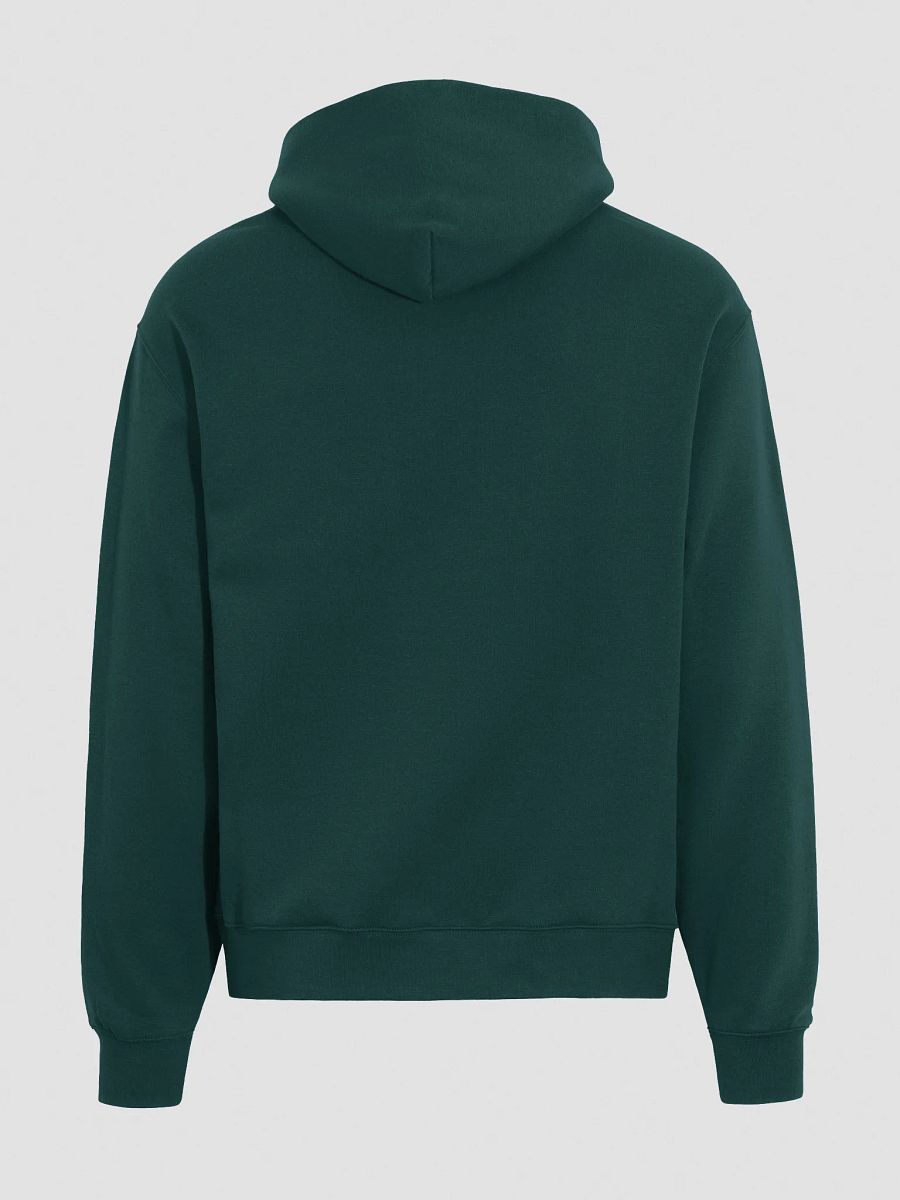 Author.Inc Premium Embroidered Hoodie product image (14)